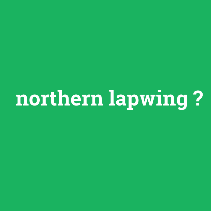 northern lapwing, northern lapwing nedir ,northern lapwing ne demek
