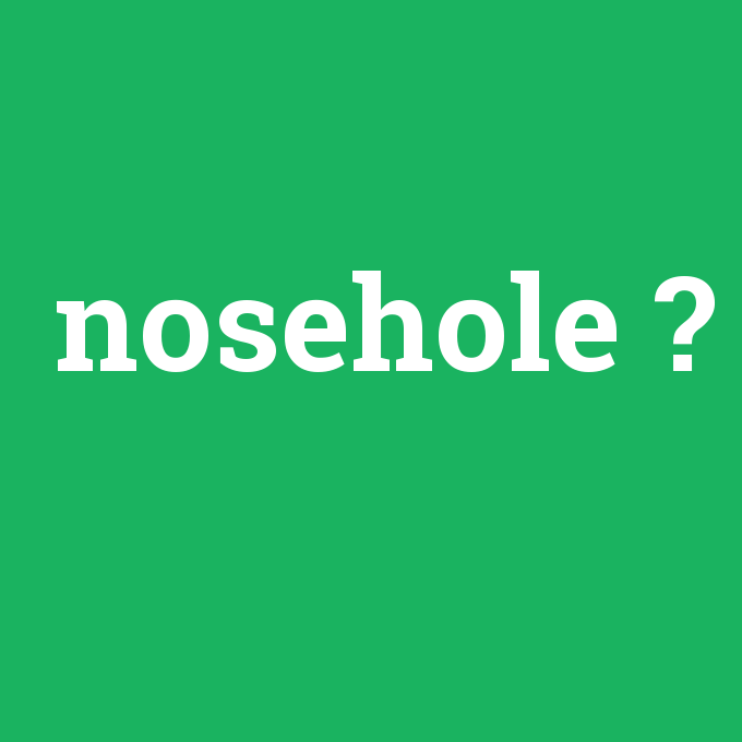 nosehole, nosehole nedir ,nosehole ne demek