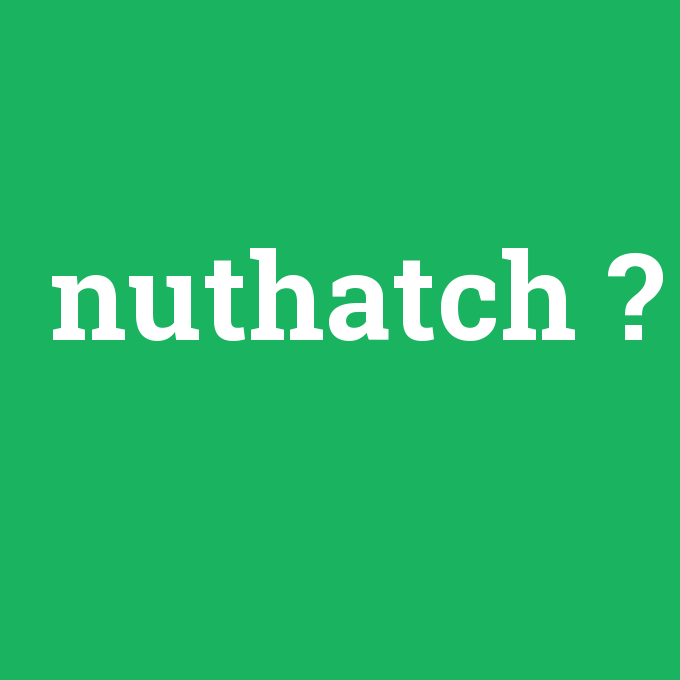 nuthatch, nuthatch nedir ,nuthatch ne demek