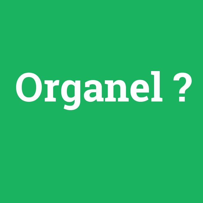 Organel, Organel nedir ,Organel ne demek