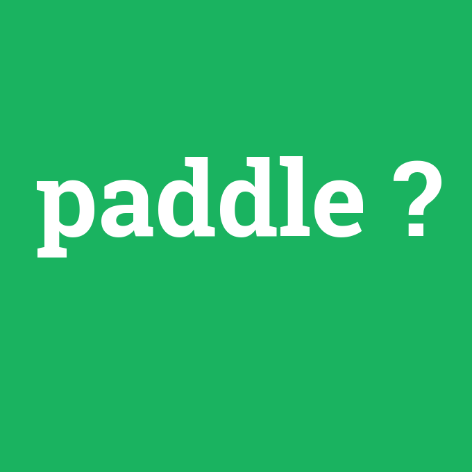 paddle, paddle nedir ,paddle ne demek