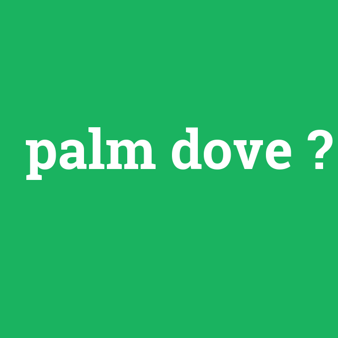 palm dove, palm dove nedir ,palm dove ne demek