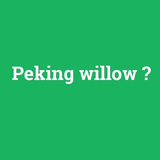 Peking willow, Peking willow nedir ,Peking willow ne demek
