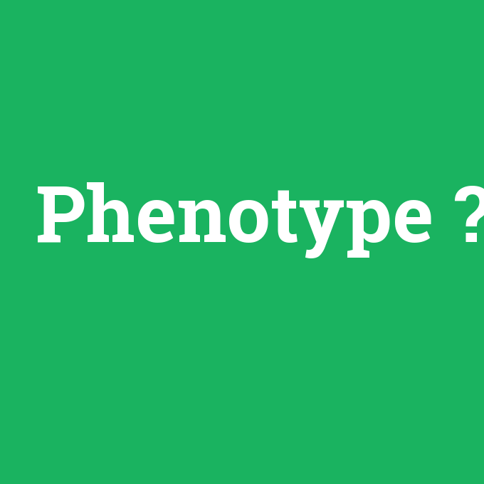 Phenotype, Phenotype nedir ,Phenotype ne demek