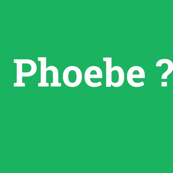 Phoebe, Phoebe nedir ,Phoebe ne demek