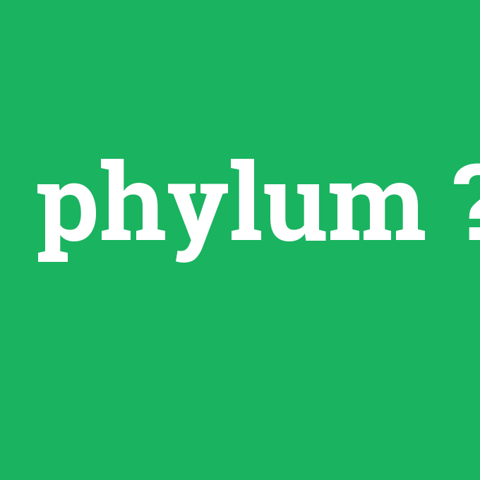 phylum, phylum nedir ,phylum ne demek