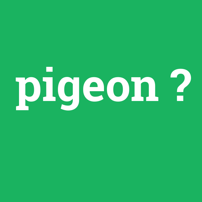 pigeon, pigeon nedir ,pigeon ne demek