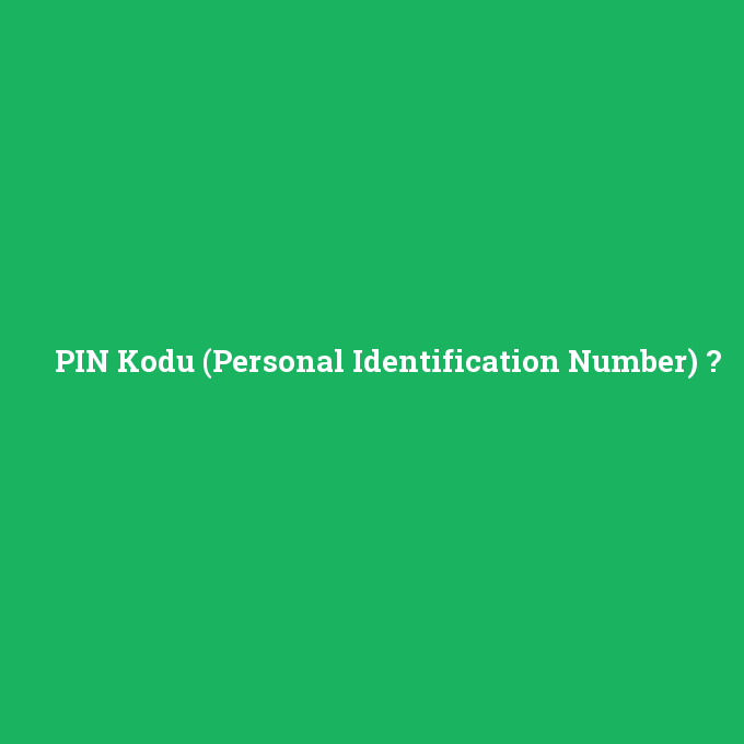 PIN Kodu (Personal Identification Number), PIN Kodu (Personal Identification Number) nedir ,PIN Kodu (Personal Identification Number) ne demek