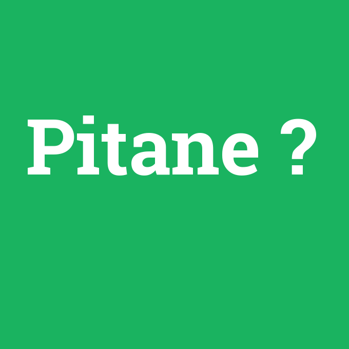 Pitane, Pitane nedir ,Pitane ne demek