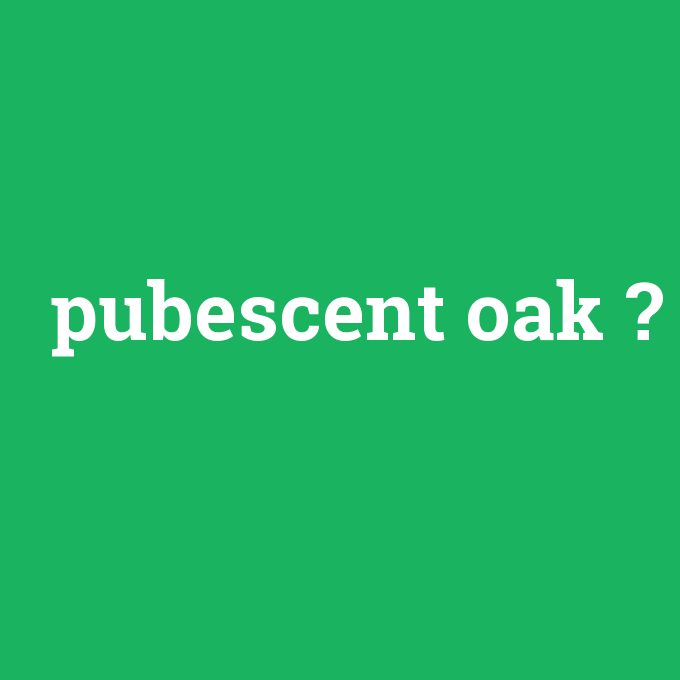 pubescent oak, pubescent oak nedir ,pubescent oak ne demek