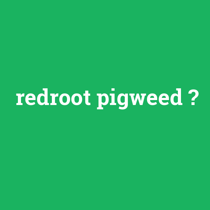 redroot pigweed, redroot pigweed nedir ,redroot pigweed ne demek