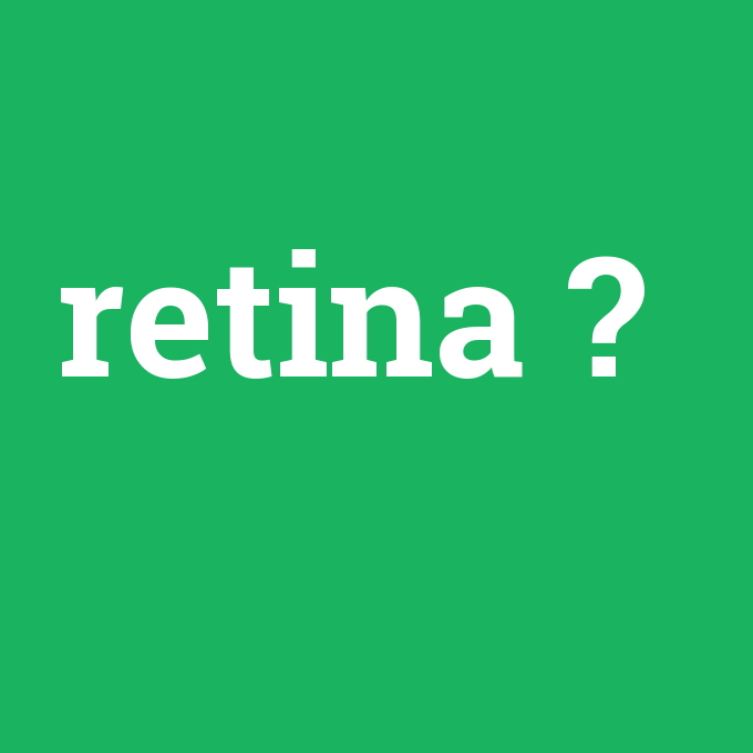 retina, retina nedir ,retina ne demek