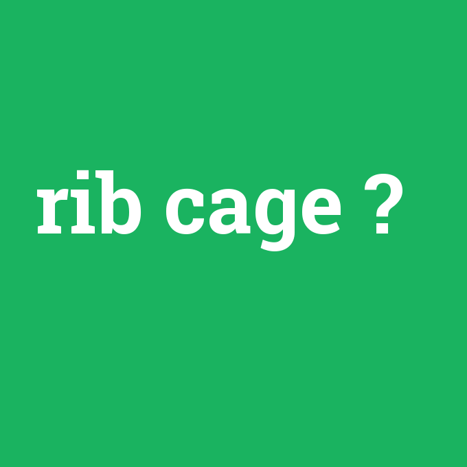 rib cage, rib cage nedir ,rib cage ne demek