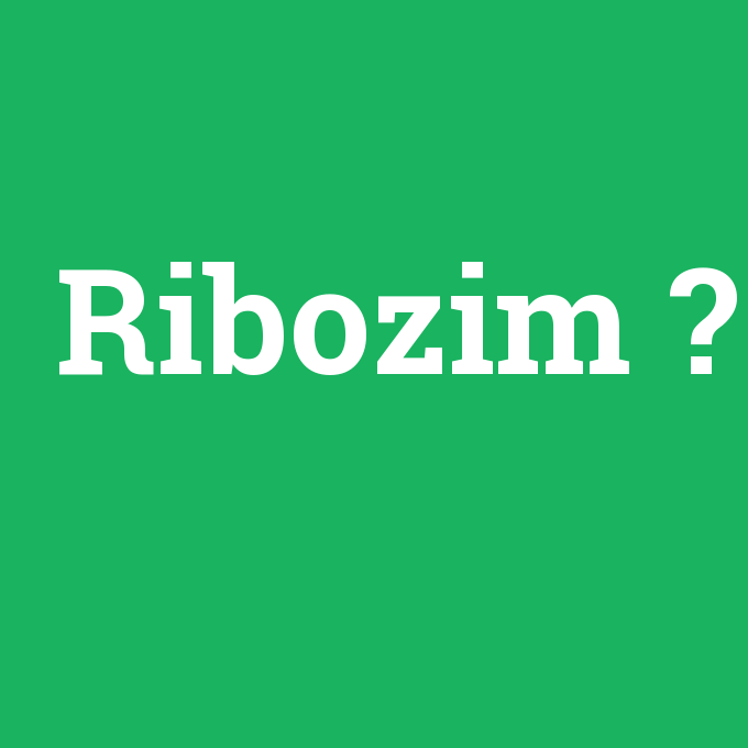 Ribozim, Ribozim nedir ,Ribozim ne demek