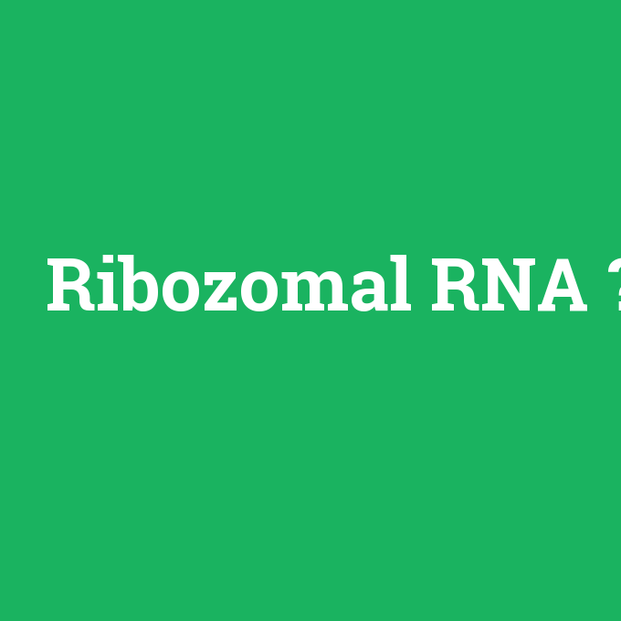 Ribozomal RNA, Ribozomal RNA nedir ,Ribozomal RNA ne demek
