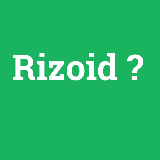 Rizoid, Rizoid nedir ,Rizoid ne demek