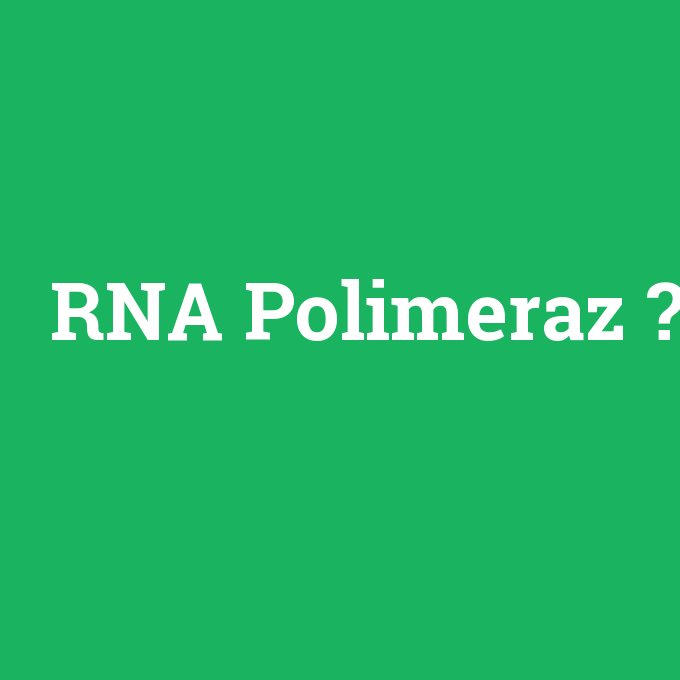 RNA Polimeraz, RNA Polimeraz nedir ,RNA Polimeraz ne demek