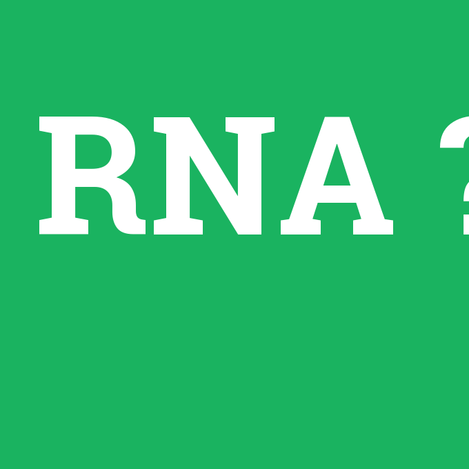 RNA, RNA nedir ,RNA ne demek