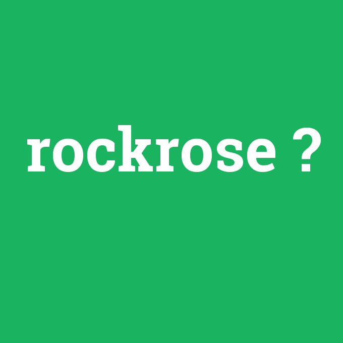 rockrose, rockrose nedir ,rockrose ne demek