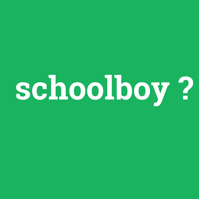 schoolboy, schoolboy nedir ,schoolboy ne demek