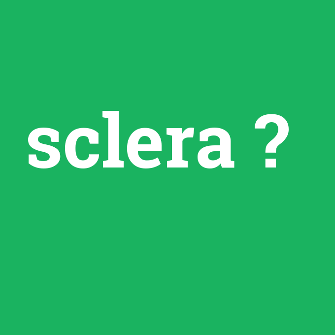 sclera, sclera nedir ,sclera ne demek