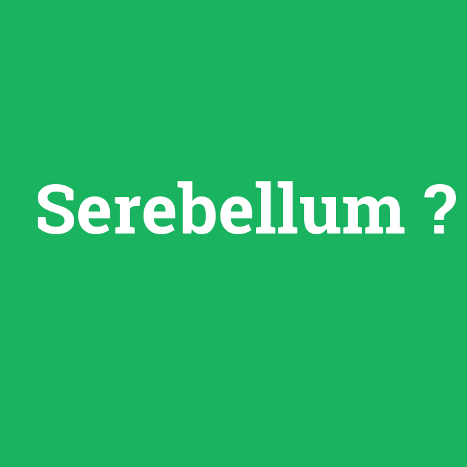 Serebellum, Serebellum nedir ,Serebellum ne demek