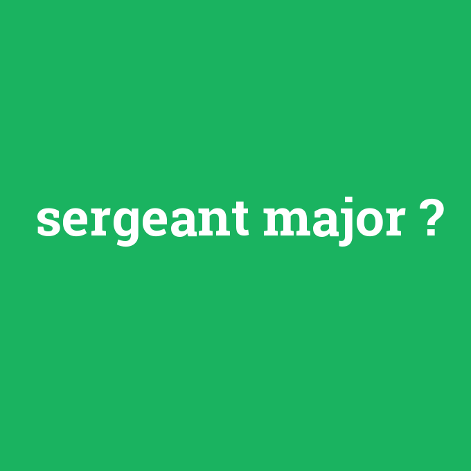 sergeant major, sergeant major nedir ,sergeant major ne demek