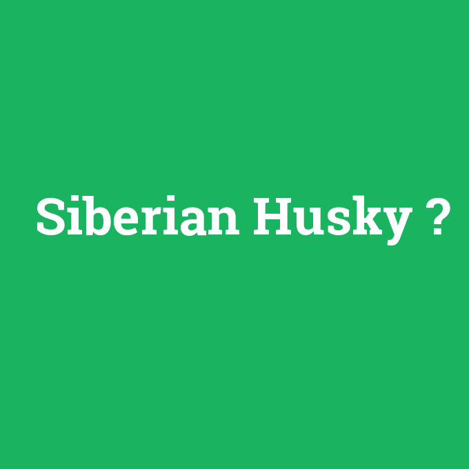 Siberian Husky, Siberian Husky nedir ,Siberian Husky ne demek
