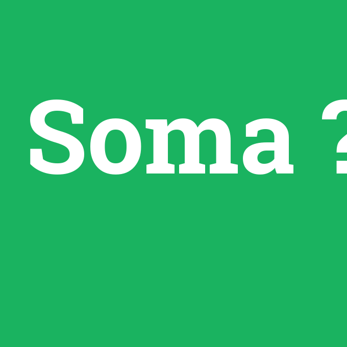 Soma, Soma nedir ,Soma ne demek