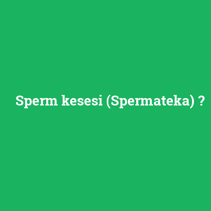 Sperm kesesi	(Spermateka), Sperm kesesi	(Spermateka) nedir ,Sperm kesesi	(Spermateka) ne demek
