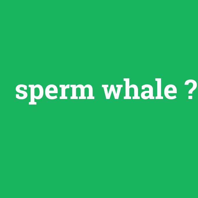 sperm whale, sperm whale nedir ,sperm whale ne demek