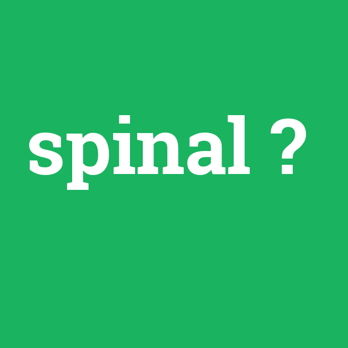 spinal, spinal nedir ,spinal ne demek
