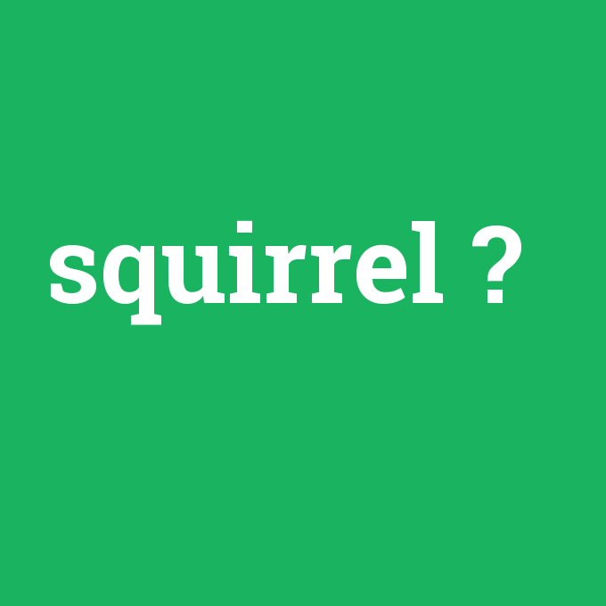squirrel, squirrel nedir ,squirrel ne demek