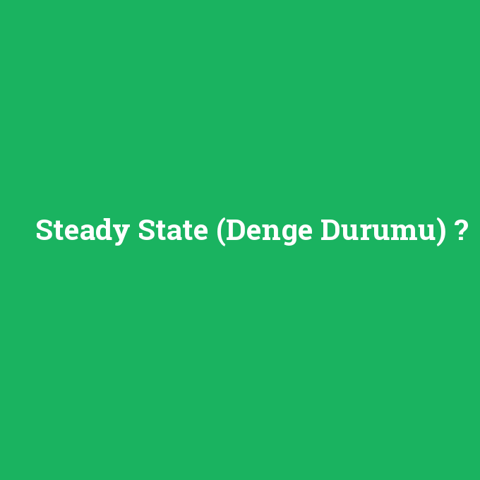 Steady State (Denge Durumu), Steady State (Denge Durumu) nedir ,Steady State (Denge Durumu) ne demek