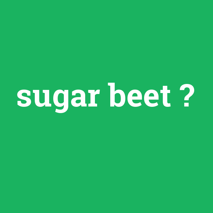 sugar beet, sugar beet nedir ,sugar beet ne demek
