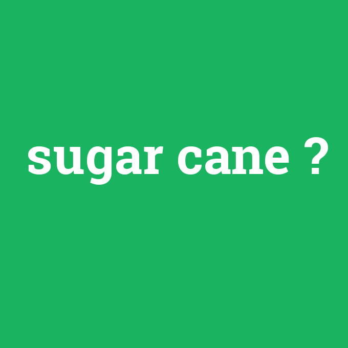sugar cane, sugar cane nedir ,sugar cane ne demek