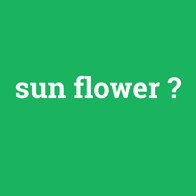 sun flower, sun flower nedir ,sun flower ne demek