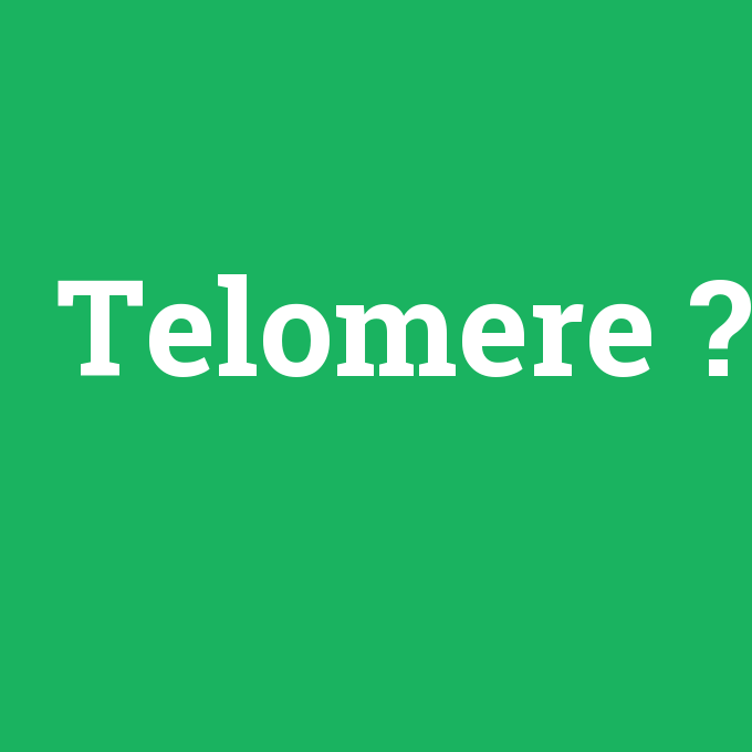 Telomere, Telomere nedir ,Telomere ne demek