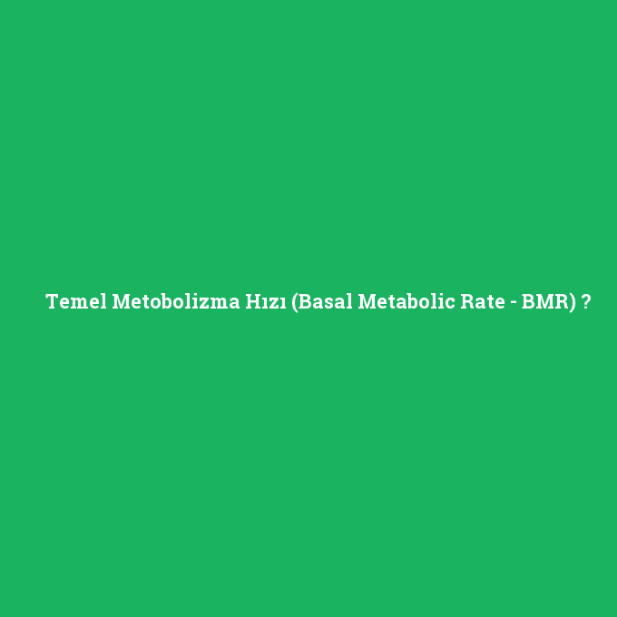 Temel Metobolizma Hızı (Basal Metabolic Rate - BMR), Temel Metobolizma Hızı (Basal Metabolic Rate - BMR) nedir ,Temel Metobolizma Hızı (Basal Metabolic Rate - BMR) ne demek