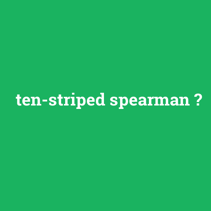 ten-striped spearman, ten-striped spearman nedir ,ten-striped spearman ne demek