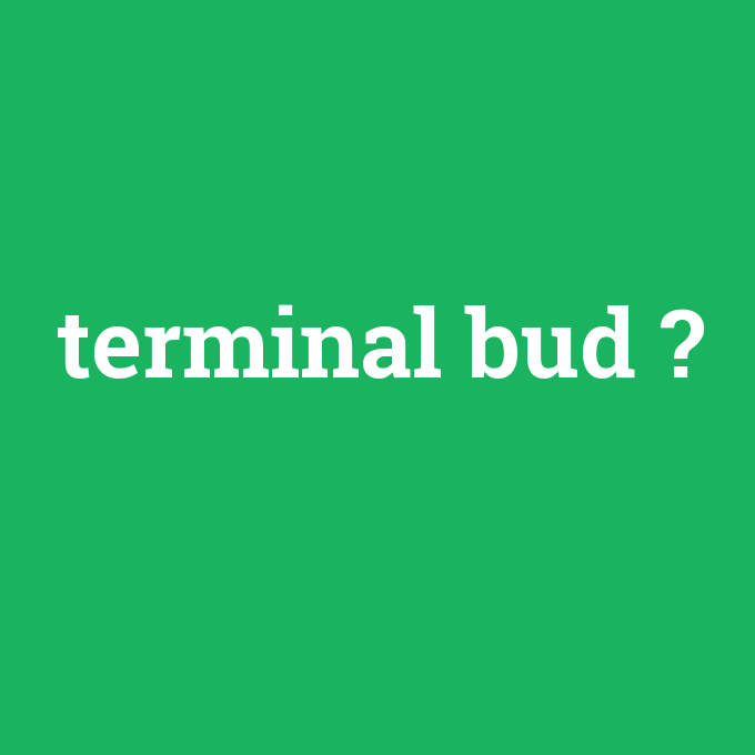 terminal bud, terminal bud nedir ,terminal bud ne demek