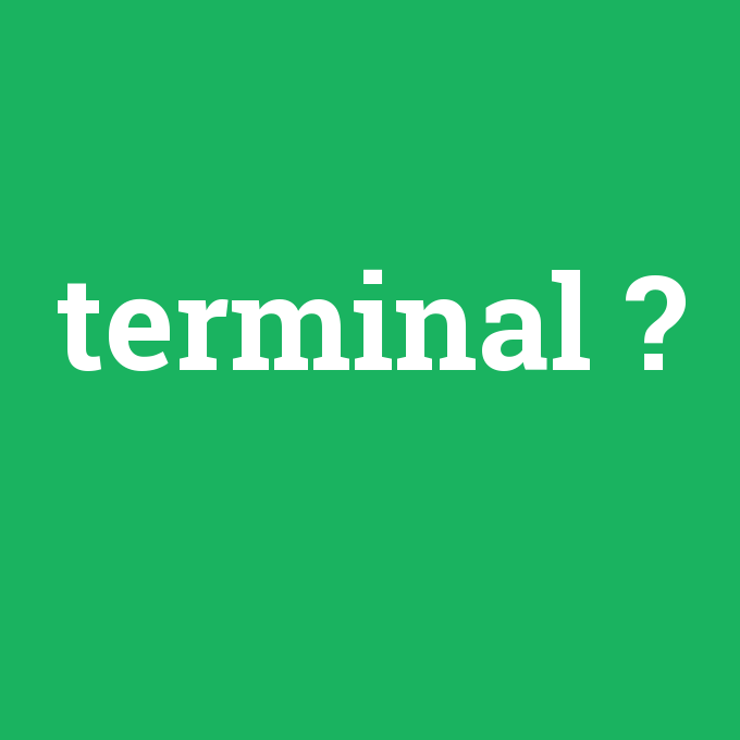 terminal, terminal nedir ,terminal ne demek