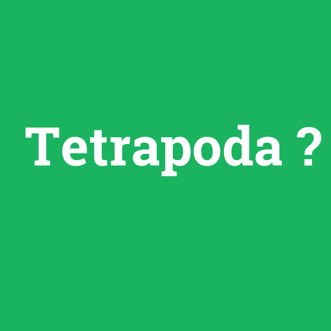 Tetrapoda, Tetrapoda nedir ,Tetrapoda ne demek