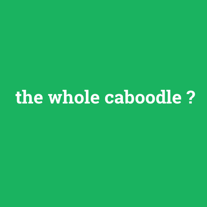the whole caboodle, the whole caboodle nedir ,the whole caboodle ne demek