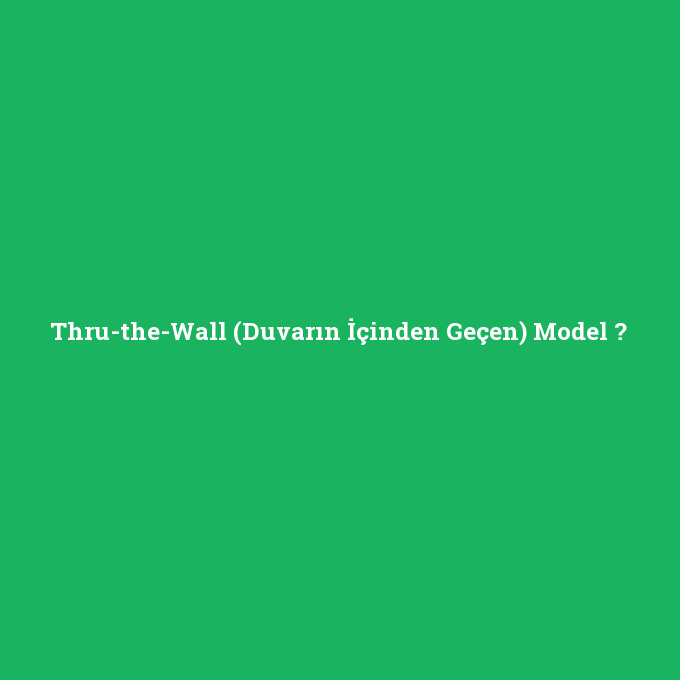 Thru-the-Wall (Duvarın İçinden Geçen) Model, Thru-the-Wall (Duvarın İçinden Geçen) Model nedir ,Thru-the-Wall (Duvarın İçinden Geçen) Model ne demek