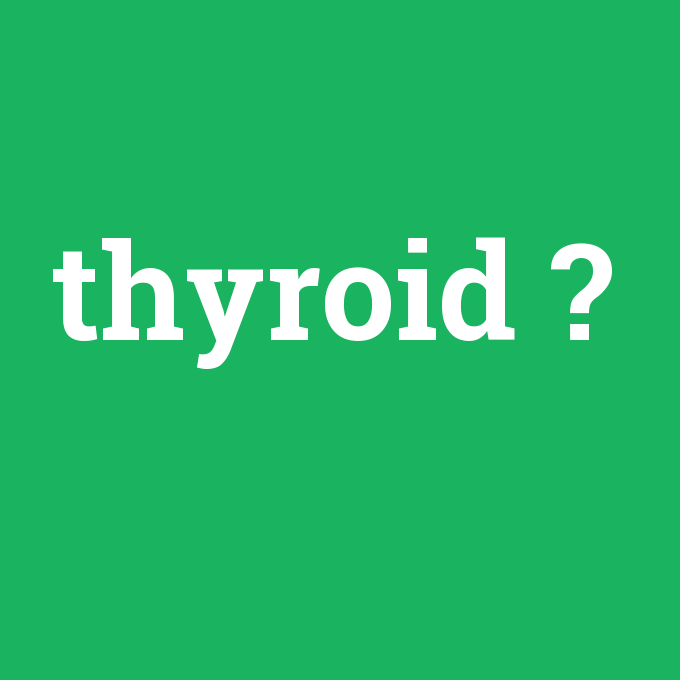 thyroid, thyroid nedir ,thyroid ne demek