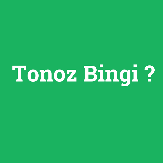 Tonoz Bingi, Tonoz Bingi nedir ,Tonoz Bingi ne demek