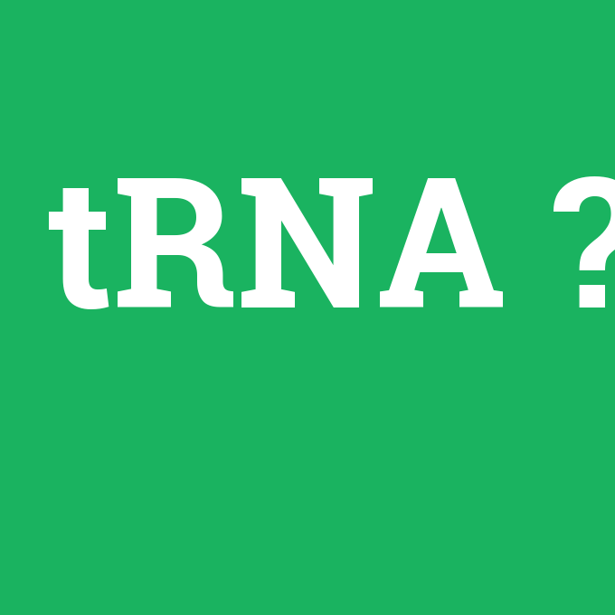 tRNA, tRNA nedir ,tRNA ne demek