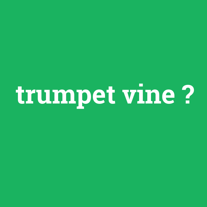 trumpet vine, trumpet vine nedir ,trumpet vine ne demek