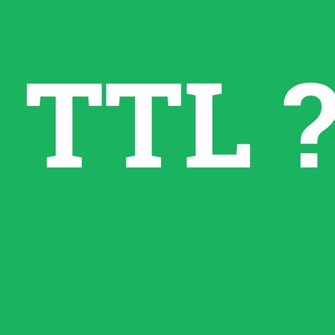 TTL, TTL nedir ,TTL ne demek
